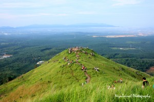 The view of peak 1. Broga Hill has four peaks altogether.