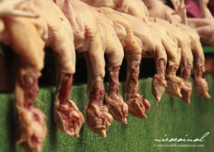 I'm not sure whether this would be a good marketing practice, but somehow the chicken arrangement is a bit daunting; like victims of war casualty.