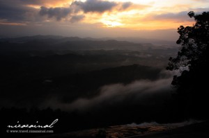 the sunrise