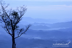 Blue sky