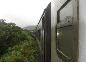 train_jelawang