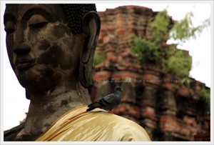 Large Buddha of Wat Mahathat