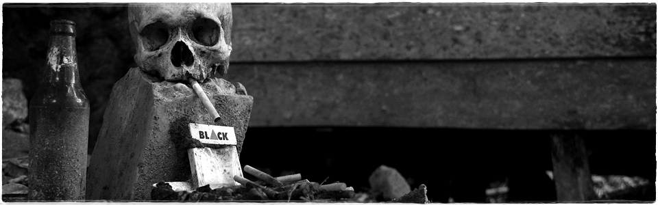 Toraja_Skull_2