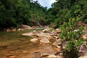 Berkelah 3rd Tier, and our campsite